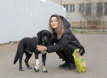 Студентка из Краснодарского края создала волонтерский отряд по спасению животных: за год пристроено 100 собак и кошек